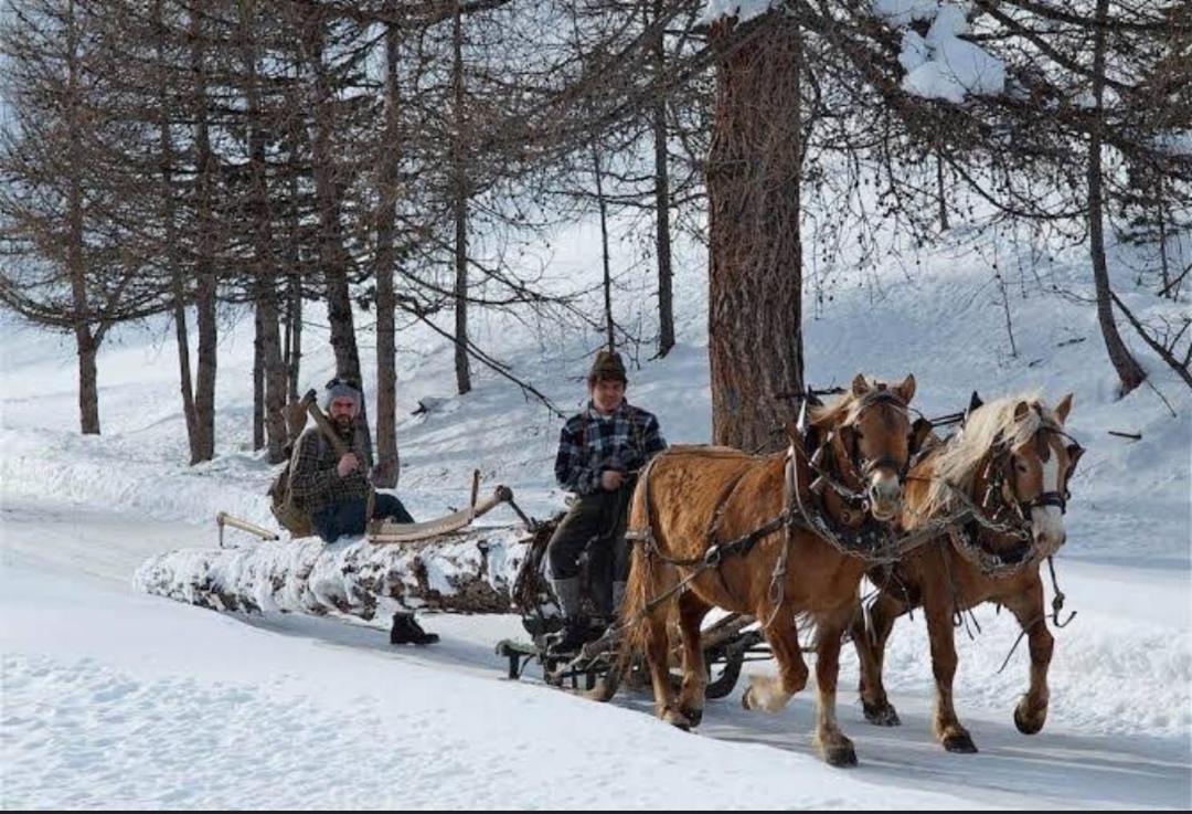 Chalet Pizabela Bait da Pizabela Daire Livigno Dış mekan fotoğraf